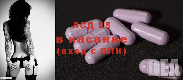 стафф Осташков