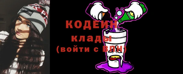 Альфа ПВП Бикин