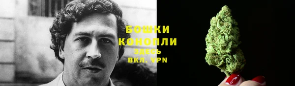 стафф Осташков