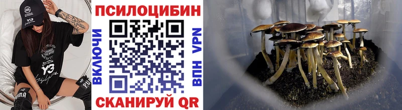 Галлюциногенные грибы Magic Shrooms что такое Дальнереченск